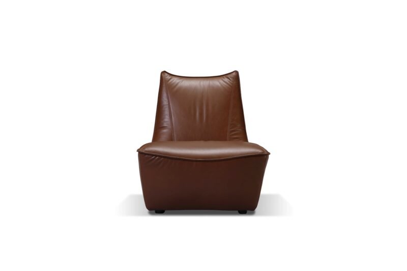 Betu Lounge Chair - 图片 2
