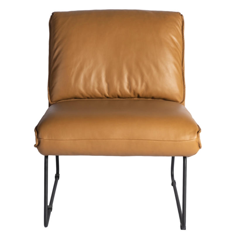 Poppy Lounge Chair - 图片 2