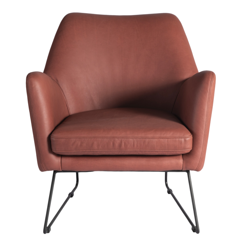 Mozart Lounge Chair - 图片 4